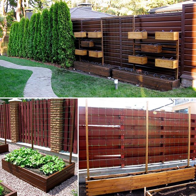 Фото з мого Instagram: lesia_on