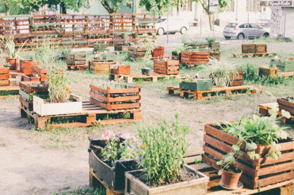 Как жители Подола разбили общественный сад на территории российского посольства